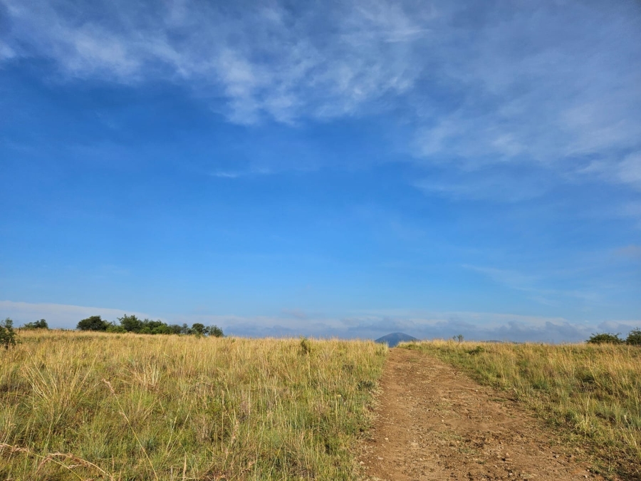 3 Bedroom Property for Sale in Parys Free State